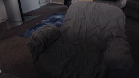 SKYLE   online show from December 13, 2024, 6:31 am