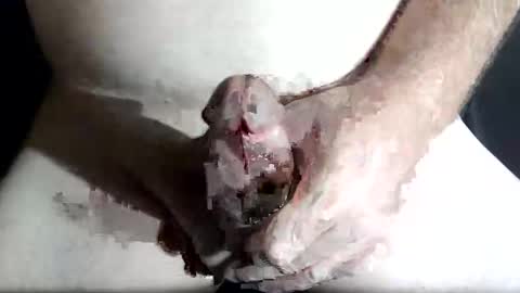 Z online show from February 4, 2026, 8:47 pm