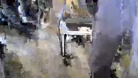 sledge2021 online show from November 17, 2025, 8:14 pm