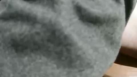 Snapshot of slimsunny chatting on December 4, 2024, 5:49 am slimsunny online show from December 4, 2024, 5:49 am