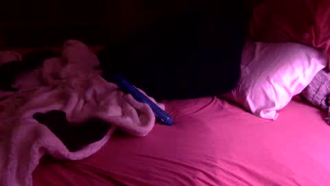 Slip Inside Wet Orchid online show from January 30, 2025, 2:27 am