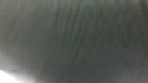 Snapshot of slothslav chatting on January 31, 2025, 10:10 am slothslav online show from January 31, 2025, 10:10 am