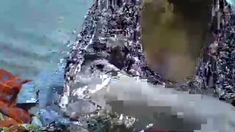 slutmeoutbb online show from September 21, 2025, 5:36 pm