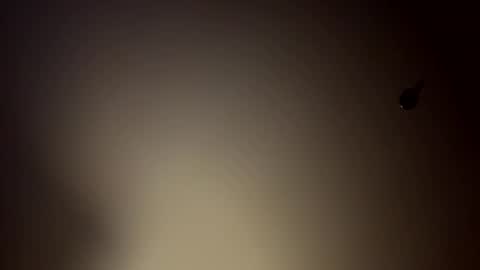 Fun time online show from March 19, 2026, 7:45 am