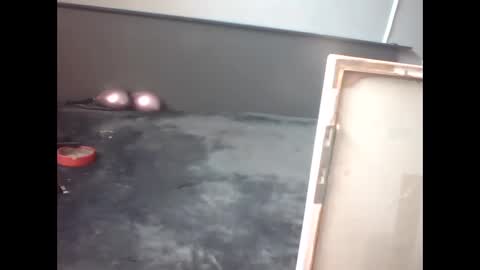 Snapshot of slutviki chatting on February 15, 2026, 10:14 am slutviki online show from February 15, 2026, 10:14 am