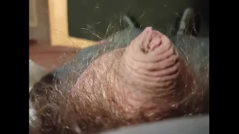 Snapshot of smallhairyuncut chatting on January 27, 2025, 3:37 am Small Hairy Uncut online show from January 27, 2025, 3:37 am