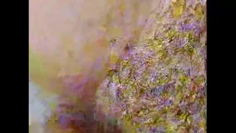 Snapshot of smallhairyuncut chatting on February 26, 2025, 10:09 pm Small Hairy Uncut online show from February 26, 2025, 10:09 pm