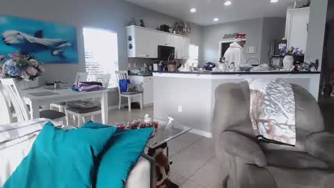 Daddy online show from December 25, 2024, 2:23 pm