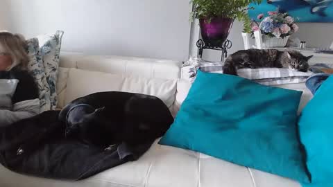 Daddy online show from January 6, 2025, 5:16 pm