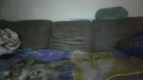 smaug6606 online show from November 24, 2025, 6:46 am