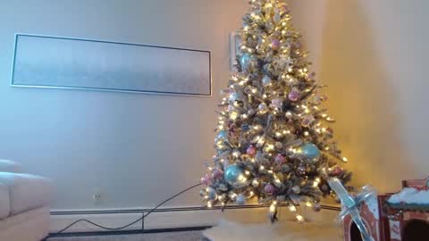Snapshot of smexy_bun chatting on December 1, 2024, 5:24 pm Smexy online show from December 1, 2024, 5:24 pm