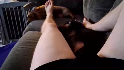 Snapshot of smokynight chatting on September 14, 2025, 11:26 pm smokynight online show from September 14, 2025, 11:26 pm