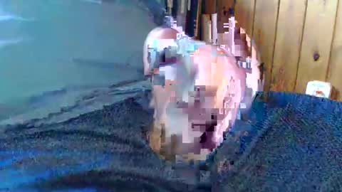 sn0man69 online show from December 13, 2024, 6:49 pm