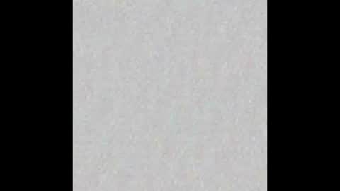 Elena and Herb online show from September 26, 2025, 5:06 pm