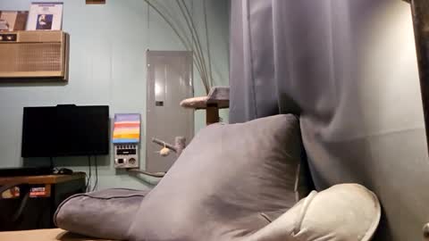 Snackyyyy online show from February 6, 2026, 1:10 am