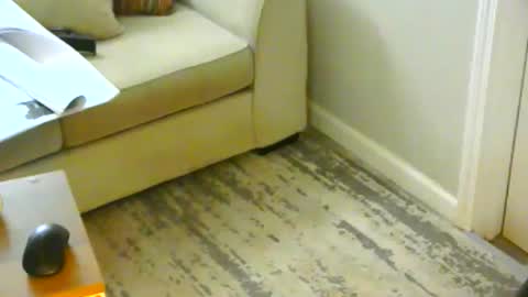 Snapshot of snizniz chatting on January 21, 2025, 6:23 pm snizniz online show from January 21, 2025, 6:23 pm