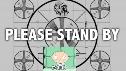 kitten online show from December 1, 2024, 6:19 pm