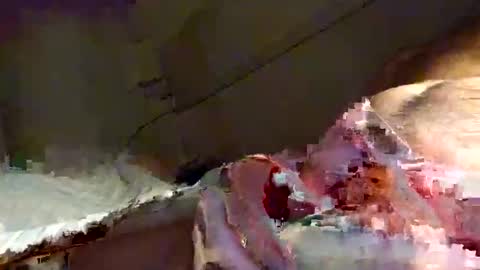 Snooty online show from January 16, 2025, 10:23 pm