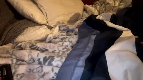 Lets play n party online show from January 19, 2026, 11:14 am