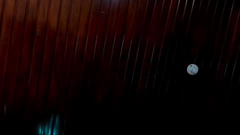 leidy online show from December 24, 2024, 4:51 pm