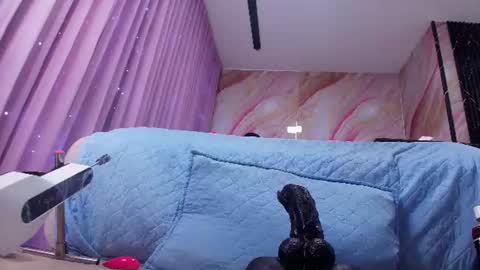 Sofia online show from June 19, 2026, 3:11 am