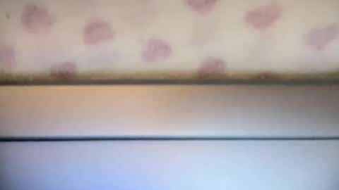 Snapshot of sofia8428 chatting on September 22, 2025, 10:01 pm sofia8428 online show from September 22, 2025, 10:01 pm