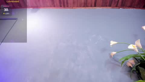 Sofia online show from December 15, 2024, 1:32 pm