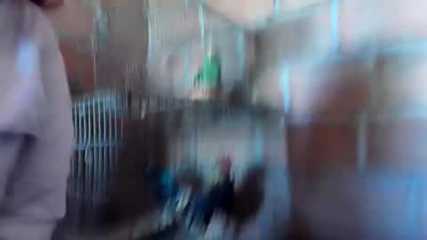 sofia gutierrez   online show from January 21, 2025, 3:43 pm