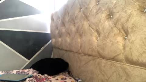 Snapshot of sofia_jimenezz chatting on November 4, 2025, 6:18 pm Sofia Jimenez online show from November 4, 2025, 6:18 pm