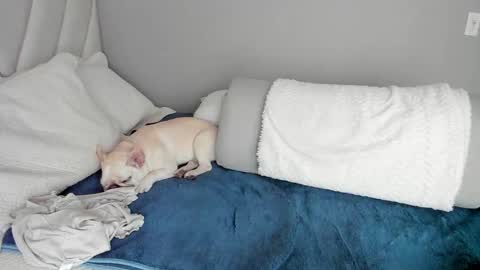 Snapshot of sofia_rivers_ chatting on March 1, 2025, 12:23 pm sofia_rivers_ online show from March 1, 2025, 12:23 pm