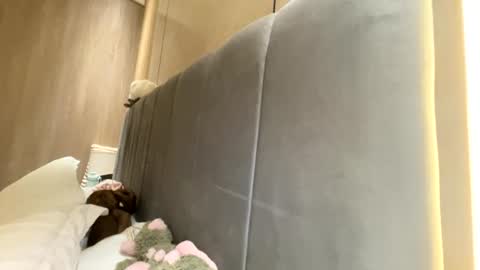 Snapshot of sofiaalvarezx chatting on July 11, 2026, 5:04 pm sofiaalvarezx online show from July 11, 2026, 5:04 pm