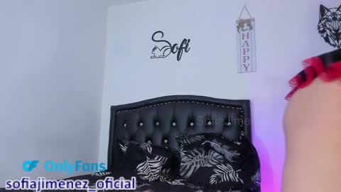 Snapshot of sofiajimenez_ chatting on February 23, 2025, 11:25 pm Sofia Jimenez online show from February 23, 2025, 11:25 pm