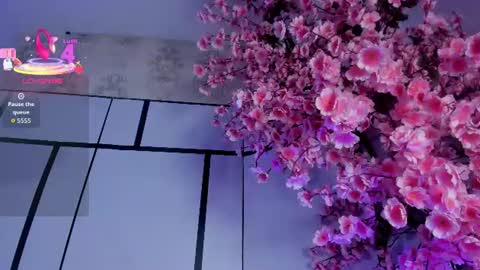 Snapshot of sofii_jones chatting on June 14, 2026, 6:48 am sofii_jones online show from June 14, 2026, 6:48 am