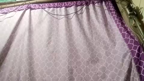 soft_bads online show from September 11, 2025, 12:38 pm