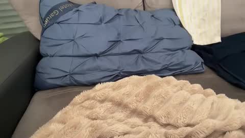 Tayla online show from February 28, 2026, 11:11 am