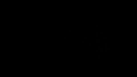 someonespeicial online show from September 29, 2025, 2:00 pm