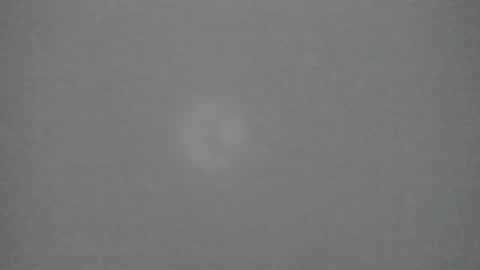 sophia_ebony___ online show from February 10, 2026, 12:31 pm