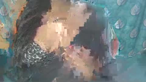 Snapshot of sophia_indian chatting on February 24, 2025, 8:38 am Sophia Tamil online show from February 24, 2025, 8:38 am