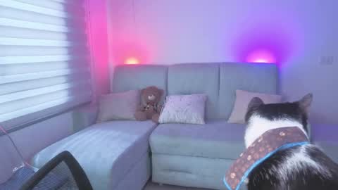 Sophie  online show from May 25, 2026, 3:18 pm