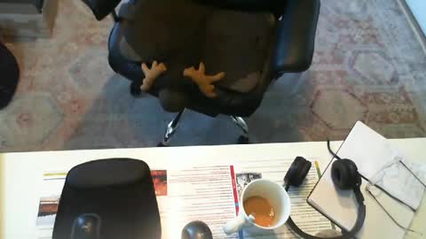 SOUTHERNBONES online show from September 29, 2025, 3:06 pm