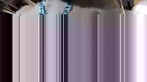 southtampa45 online show from January 14, 2025, 12:43 am