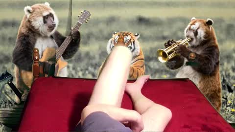 soymigo online show from February 11, 2026, 5:23 am