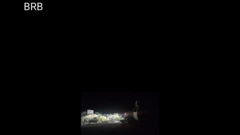 Sibyl online show from September 10, 2025, 8:03 am
