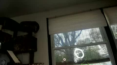 AmberSpanks online show from June 13, 2026, 11:24 pm