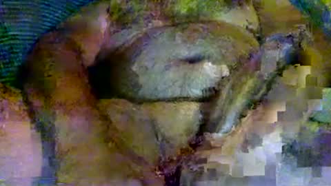 Snapshot of splinter8484 chatting on August 7, 2026, 6:48 am splinter8484 online show from August 7, 2026, 6:48 am
