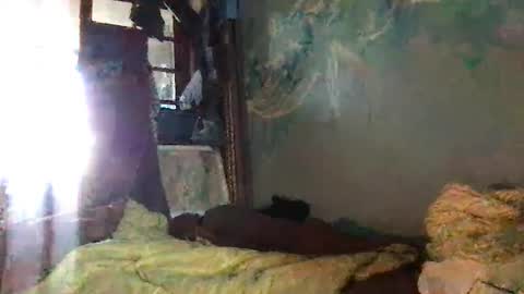 Snapshot of srekos38 chatting on October 7, 2025, 6:32 am srekos38 online show from October 7, 2025, 6:32 am