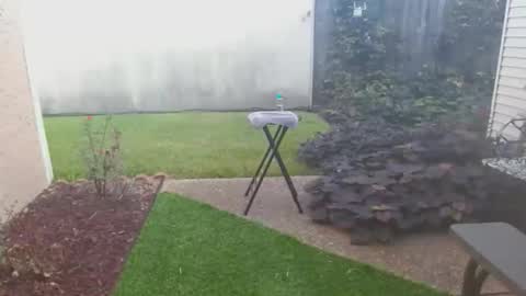 srtxshow online show from October 21, 2025, 2:07 pm