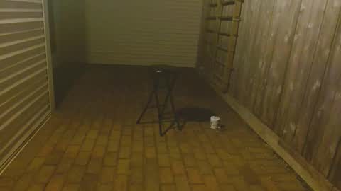 srtxshow online show from October 23, 2025, 11:53 am