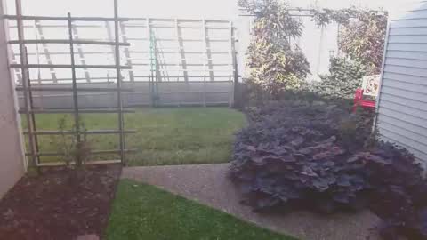 srtxshow online show from November 16, 2025, 8:47 pm