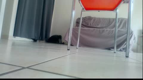 Snapshot of ssenzo chatting on December 21, 2025, 2:13 pm ssenzo online show from December 21, 2025, 2:13 pm